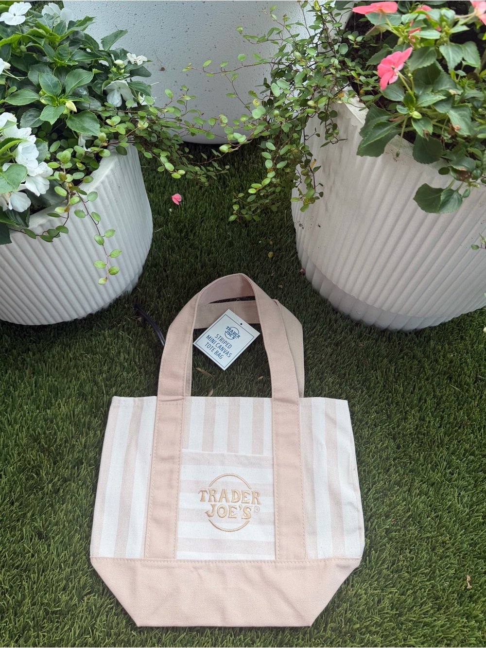 🤎 Trader Joe’s Summer 2026 Striped Mini Canvas Tote – Desert Sand | NWT |Viral